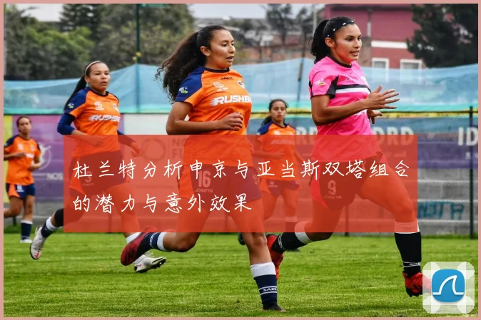 杜兰特分析申京与亚当斯双塔组合的潜力与意外效果