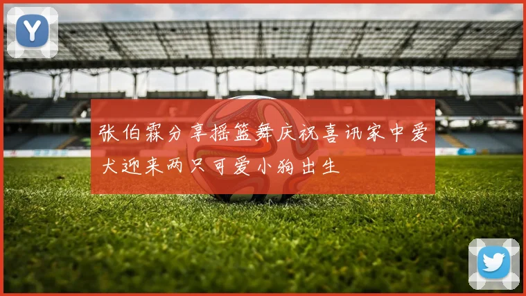 张伯霖分享摇篮舞庆祝喜讯家中爱犬迎来两只可爱小狗出生
