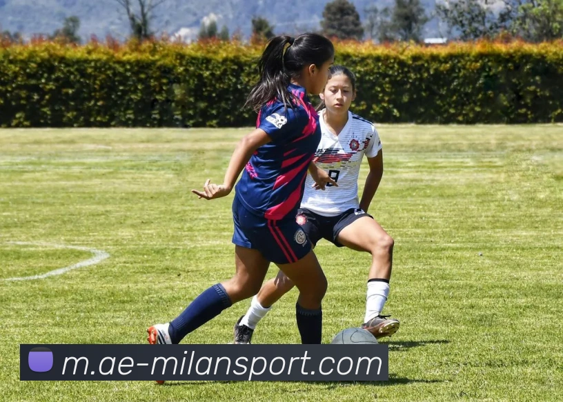 米兰足球全站App